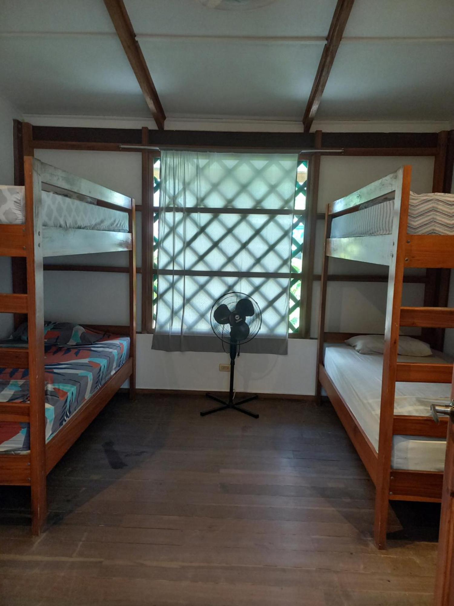 Puerto Viejo de Talamanca Pagalu Hostel מראה חיצוני תמונה