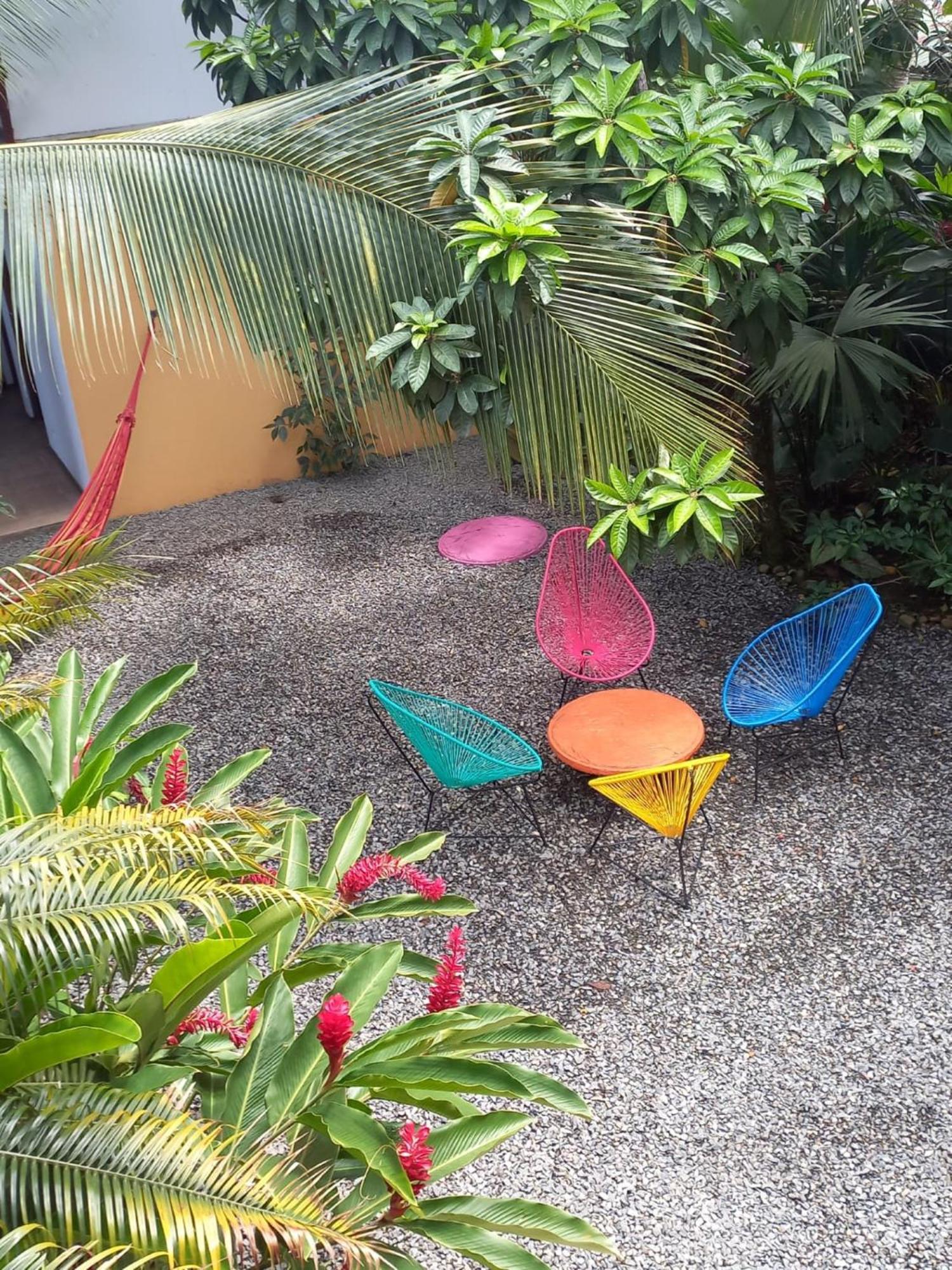 Puerto Viejo de Talamanca Pagalu Hostel מראה חיצוני תמונה